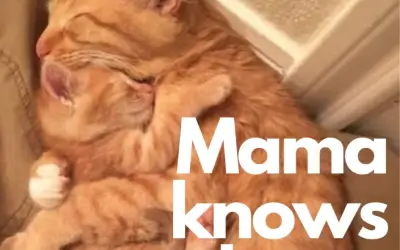 Mama Knows Best.