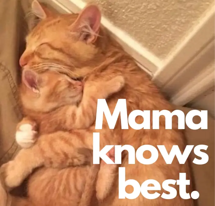 Mama Knows Best.