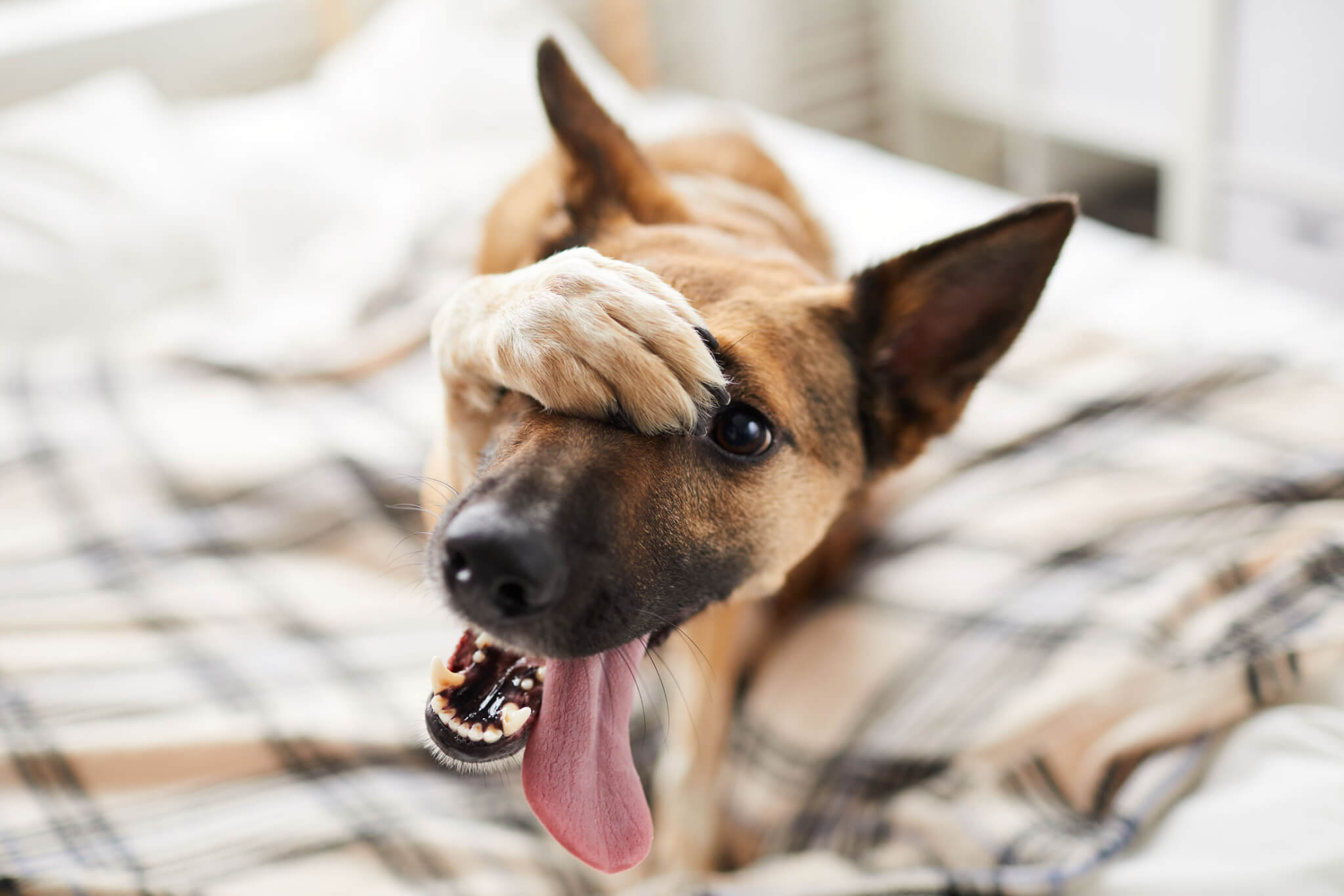 AdobeStock_261870128